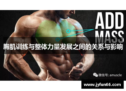 胸肌训练与整体力量发展之间的关系与影响